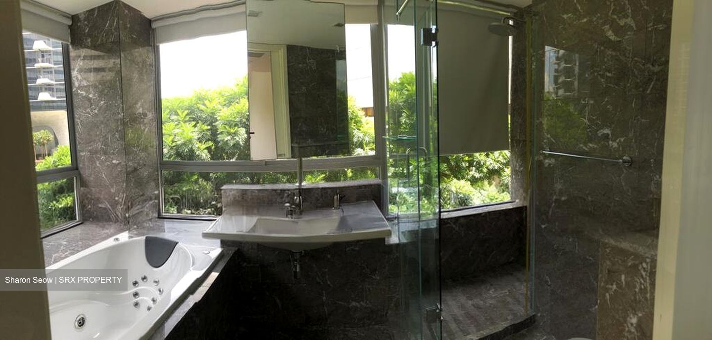 Suites @ Cairnhill (D9), Apartment #504220061